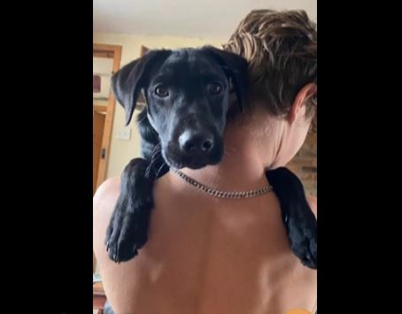My angel and my cock 🐶